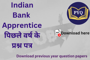 Read more about the article Indian Bank Apprentice पिछले वर्ष के प्रश्न पत्र