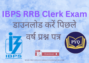 Read more about the article IBPS RRB Clerk पिछले वर्ष प्रश्न पत्र